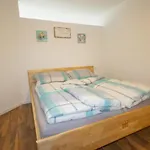 Mundlers Hoamatl 1 By Interhome * Oetz
